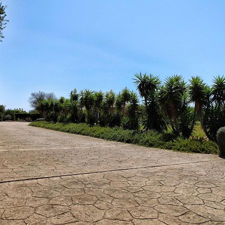 Finca Casa Mas Сантаньї Екстер'єр фото