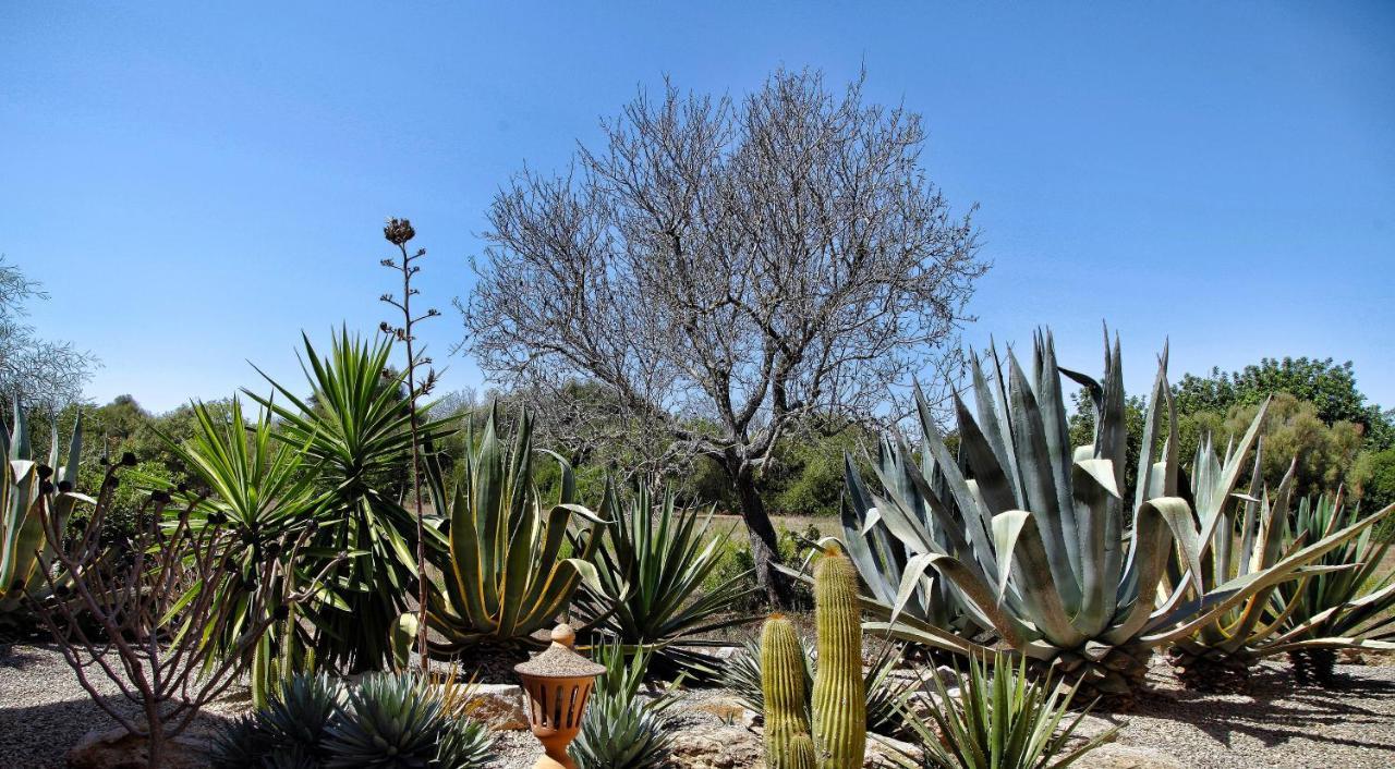 Finca Casa Mas Сантаньї Екстер'єр фото