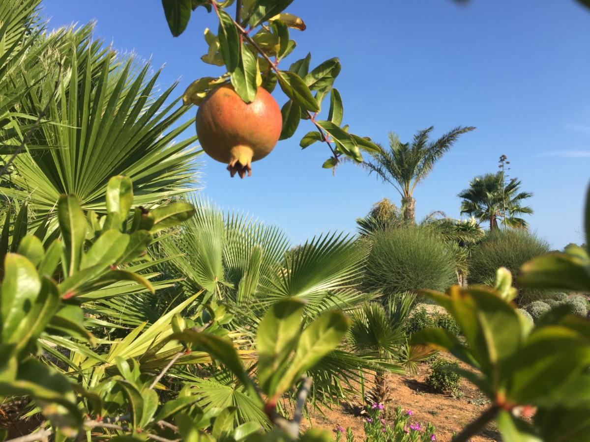 Finca Casa Mas Сантаньї Екстер'єр фото